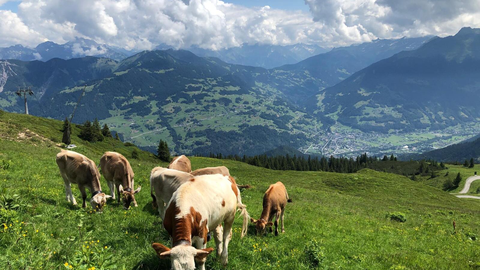 Montafon Bergpanorama