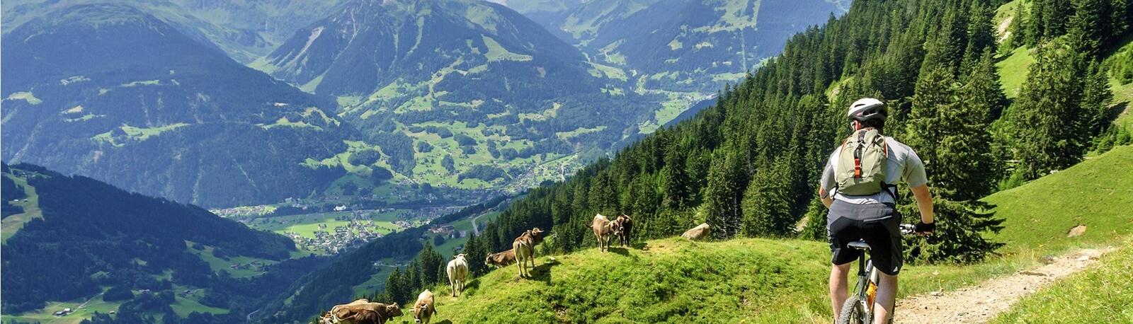 Sommerurlaub Hotel Bergerhof