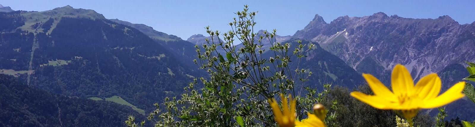 Wandern in Bartholomäberg